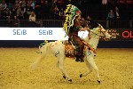 Quadrille - 00329